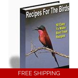 RECIPES FOR BIRDS OVER 50 RECIPES EOOK RECIPES FOR BIRDS OVER 50 RECIPES EOOK