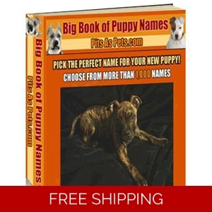 THE BIG BOOK OF PUPPY NAMES EBOOK