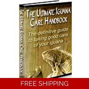 THE ULTIMATE IGUANA CARE HANDBOOK EBOOK