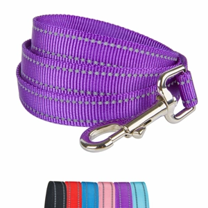 Dog Nylon Leash