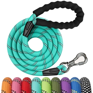 Dog Rope Leash