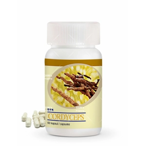 CORDYCEPS DXN