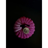 Crocheted Purple Pumpkin Plush Crocheted Purple Pumpkin Plush