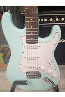 Aria stag 003 surf..