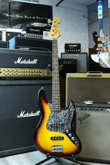 High end Custom Pa..