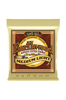 Ernie ball Earthwo..