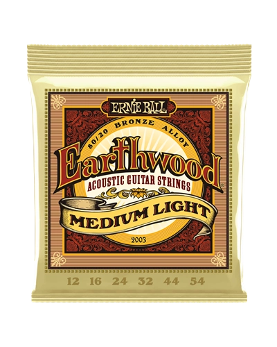 Ernie ball Earthwood 12-54