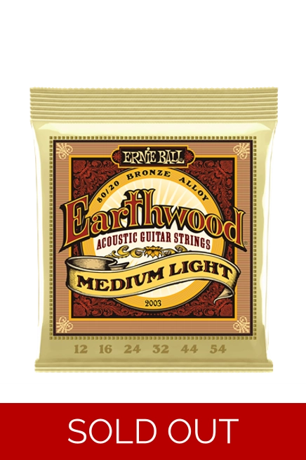 Ernie ball Earthwood 12-54