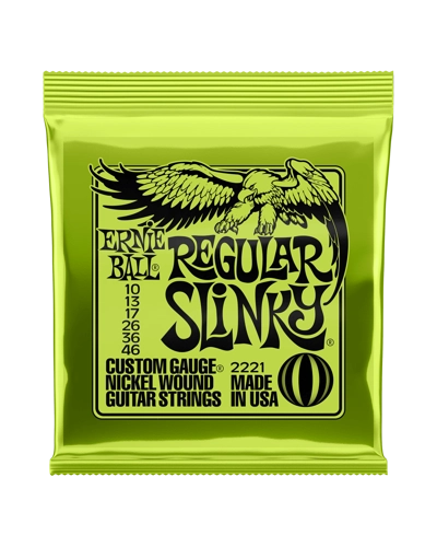 Ernie ball regular slinky