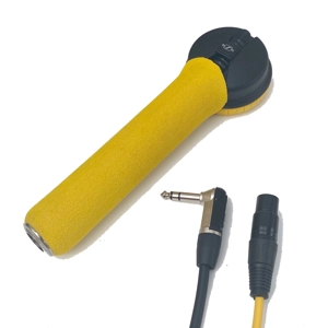 HD25 Anniversary lollipop