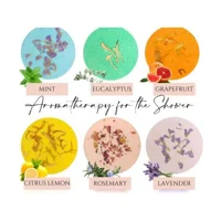 Aromatherapy Shower Steamers Gift Set – Essential Oil Home Spa Tablets