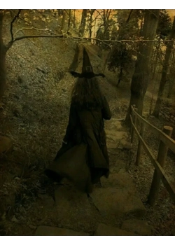 The Heart of Witchcraft: God, Mother Nature, and the True Spirit of Being a Witch.