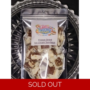 Freeze Dried Ice Cream Sandwich