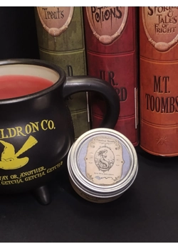 The Magic of Enchanted Youth Nourisher – A Potion for Radiant, Timeless Skin ✨