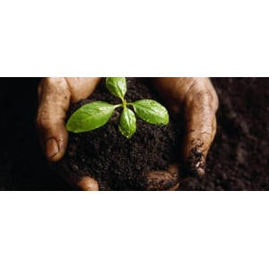 Vegetable Compost Per C..