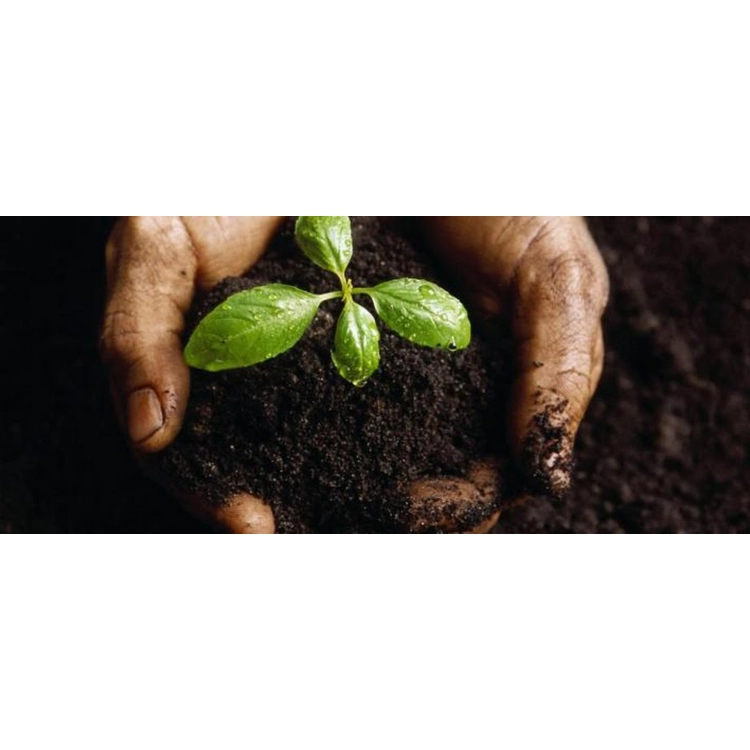 Top Soil Per Cube