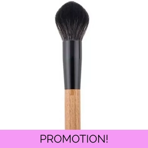 Natural Wooden Handled Large Powder Blending Brush