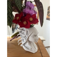 Siralei Modern Woman's Head Planter Art Vase Sculpture Grow Flower Pot decor