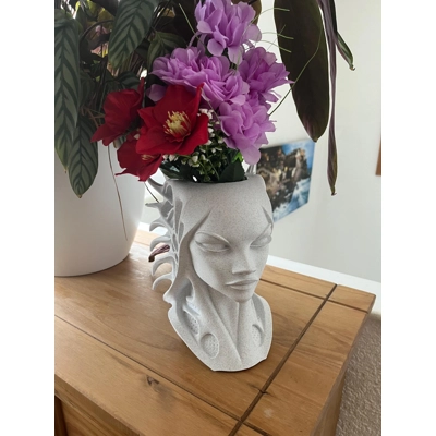 Siralei Modern Woman's Head Planter Art Vase Sculpture Grow Flower Pot decor