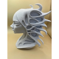 Siralei Modern Woman's Head Planter Art Vase Sculpture Grow Flower Pot decor