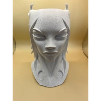 Siralei Modern Woman's Head Planter Art Vase Sculpture Grow Flower Pot decor