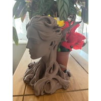 Ardena Modern Woman's Head Planter Art Vase Sculpture Grow Flower Pot decor