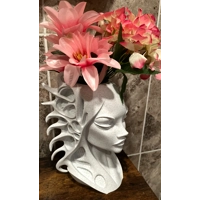 Siralei Modern Woman's Head Planter Art Vase Sculpture Grow Flower Pot decor