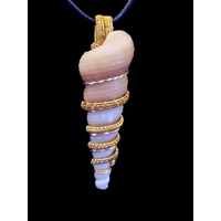 Golden Seashell Wire Wrap