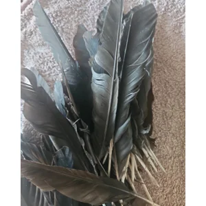 European Carion Crow Feathers x10, naturally harvested