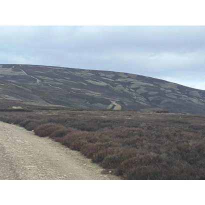 Farm Inheritance Tax: Who Really Loses - and Who Is Shaping the Row?