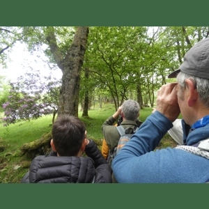 Nature of Eryri - Birds Special