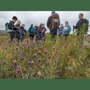 Nature of the Yorkshire Dales