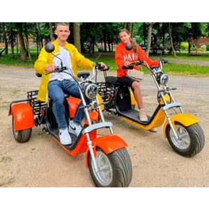 2000w Trike Smart 3 Wheel Citycoco Motorcycle long range