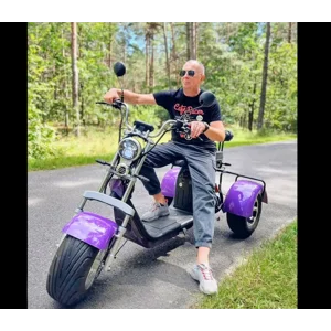 2000w Trike Smart 3 Wheel Citycoco Motorcycle long range