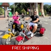 2000w Trike Smart 3 Whe..
