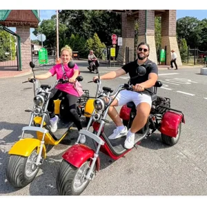 2000w Trike Smart 3 Wheel Citycoco Motorcycle long range