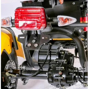 2000w Trike Smart 3 Wheel Citycoco Motorcycle long range