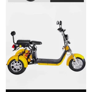 2000w Trike Smart 3 Wheel Citycoco Motorcycle long range