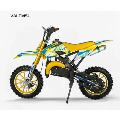 49 cc 2Stroke Engine Off-Road Dirt Bike Gas Motor Mini Motocross