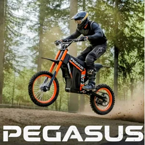 Pegasus Electric Dirt Bike 2000w Power Electric 2wd Dirt Bike U. S. Warehouse Fast Free Shipping