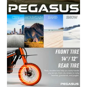 Pegasus Electric Dirt Bike 2000w Power Electric 2wd Dirt Bike U. S. Warehouse Fast Free Shipping