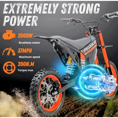 Pegasus Electric Dirt B..