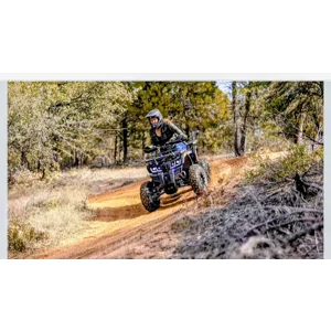 Coleman Powersports AT200R 169cc GasATV Adult Hydraulic Disc Brakes Independent Suspension