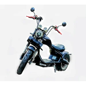 ,2025 Electric Scooter Adult 60v Electric motorcycle