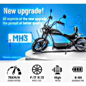 ,2025 Electric Scooter Adult 60v Electric motorcycle