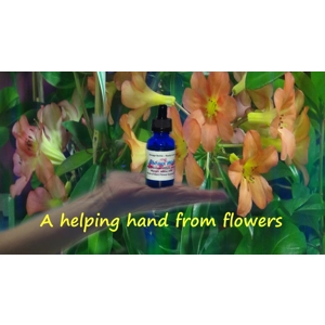 Breath Relaxed Flower Essences