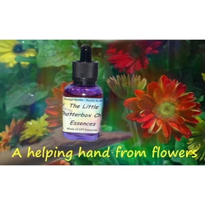 Flower Essences for Children