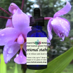 Emotional Stability Flower Essences  bottle, which is designed to address a spectrum of feelings,