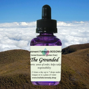 The Grounded Flower Essences Remedy in a purple square bottle is excellent for balance and stability.
