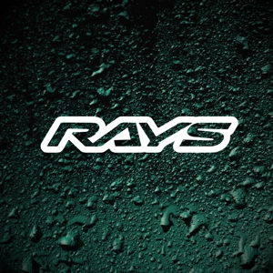 Rays 2x Decal